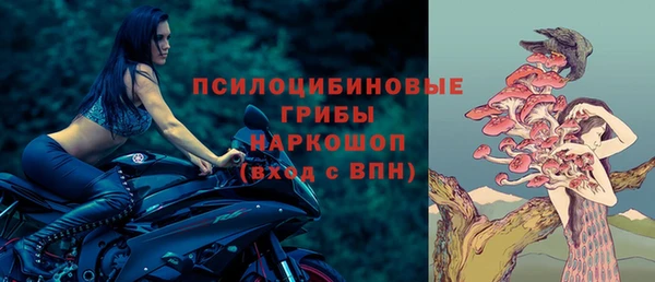 spice Балабаново