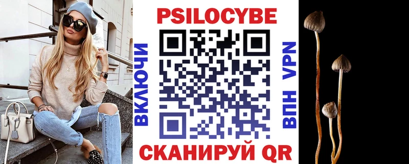 где найти Кировск Галлюциногенные грибы GOLDEN TEACHER